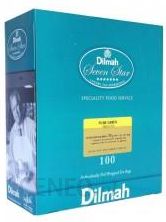Dilmah Herbata Exp Gastronomiczna Pure Green 100szt.
