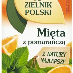 HERBAPOL Zielnik Polski Owoce i zioła Mięta z Pomarańczą 20 torebek