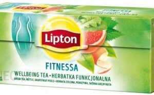 Unilever Fitnessa Herbatka Funkcjonalna Ekspresowa 20X1