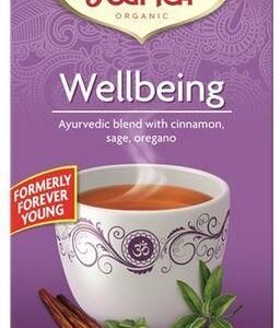 YOGI TEA Herbatka Wellbeing (Forever Young) BIO 17x1