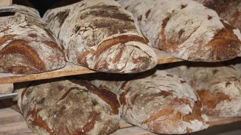 Co wyróżnia najlepszą piekarnię we Wrocławiu